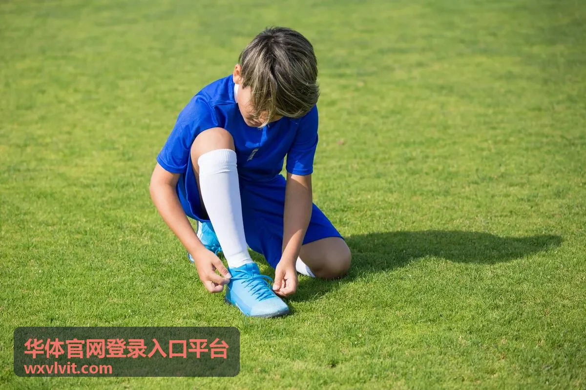 华体官网登录入口平台手机浏览器登录入口示意