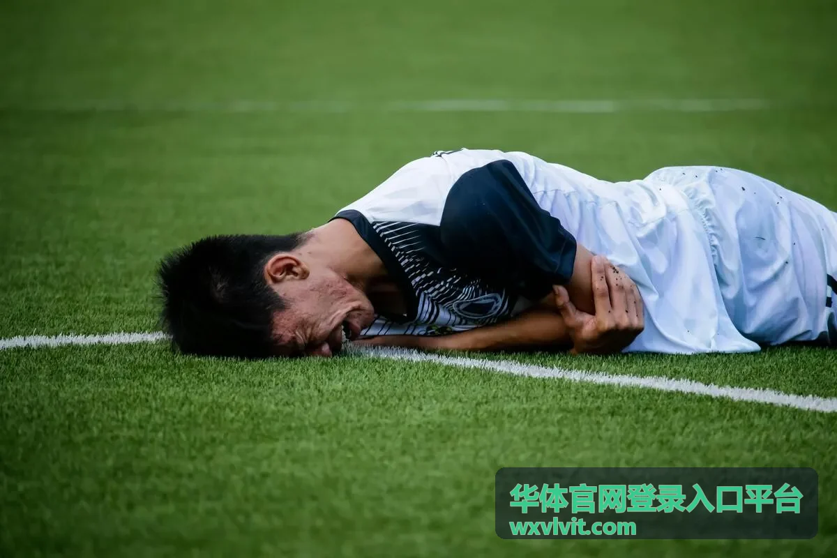 华体官网登录入口平台终端与网络问题示意